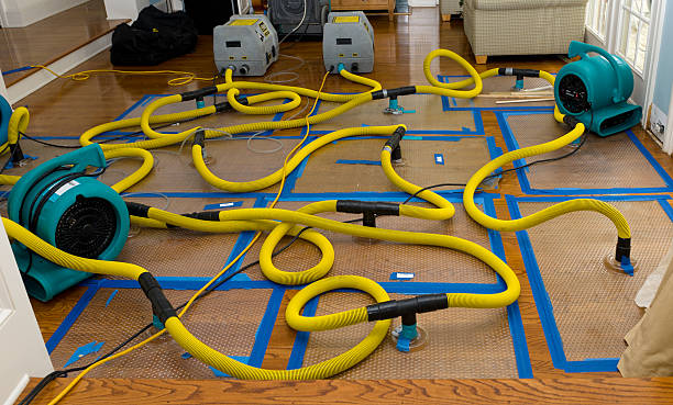 Professional Burst Pipe Water Damage technician working in Opa-locka, FL
